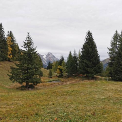 HIrschenbad