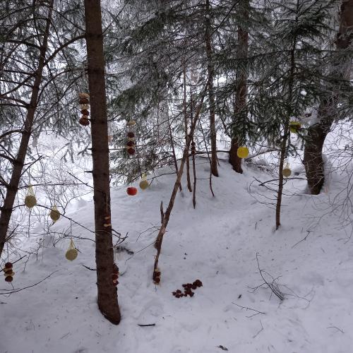Wanderung