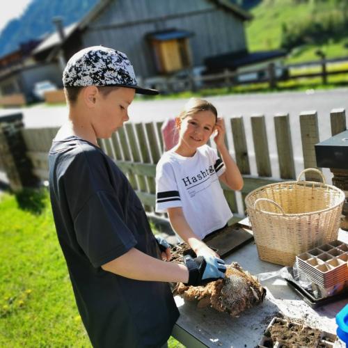 #bee raiffeisen