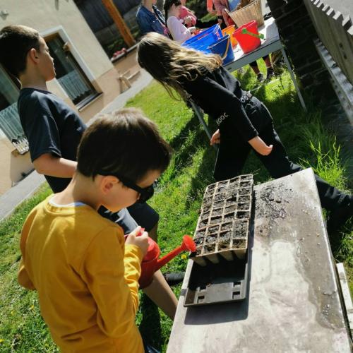 #bee raiffeisen