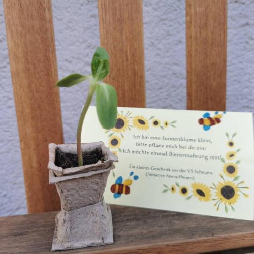 #bee raiffeisen