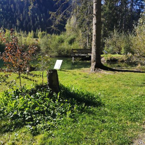 Wandern