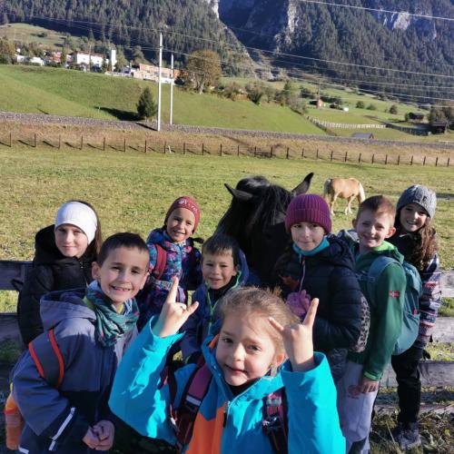 Wandern