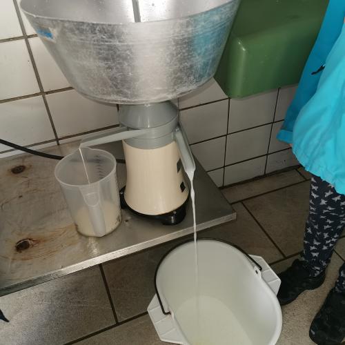 Hofbesuch