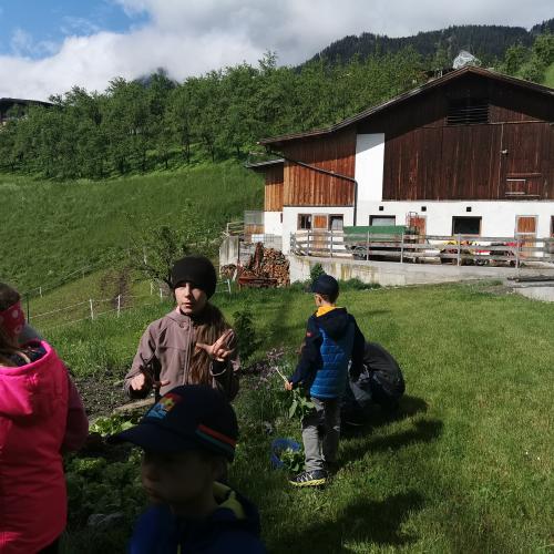 Hofbesuch
