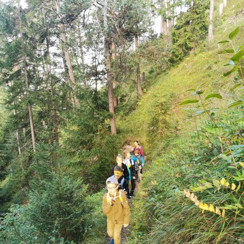 Wandern