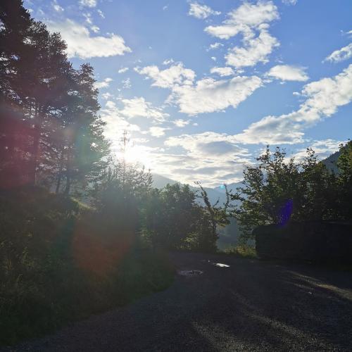 Wandern