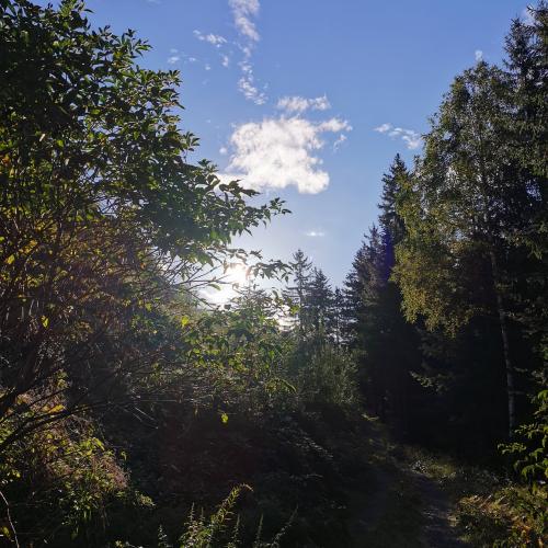 Wandern