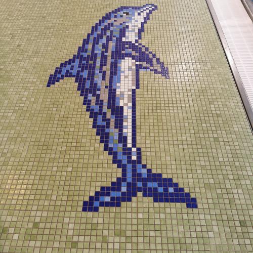 Schwimmen