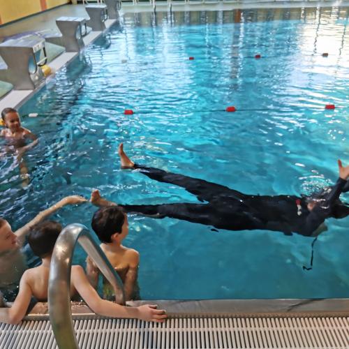 Schwimmen
