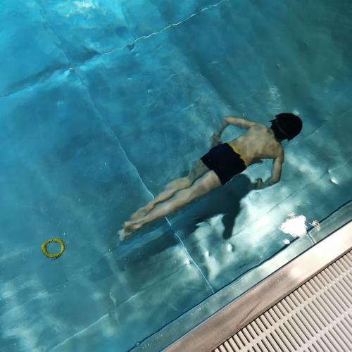 Schwimmen