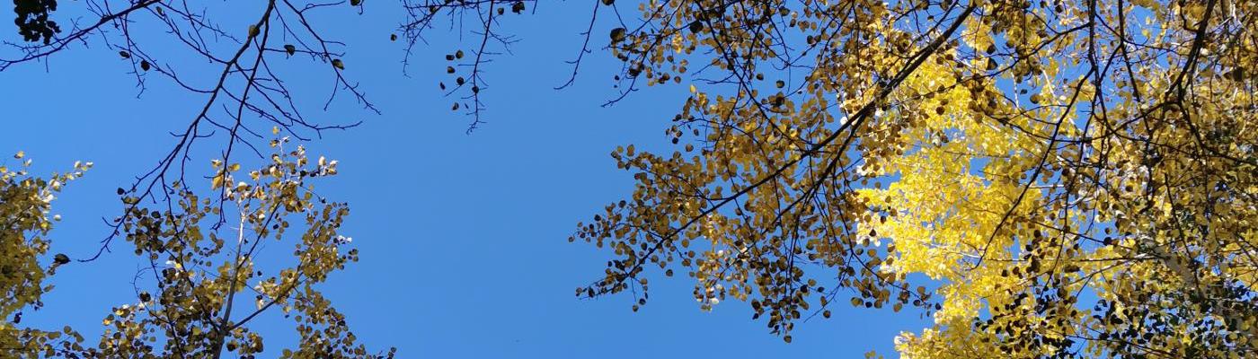 Herbst