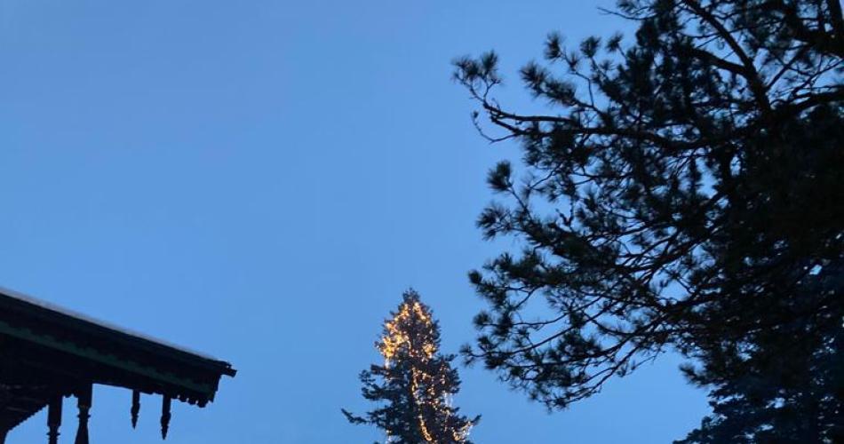 Adventzauber