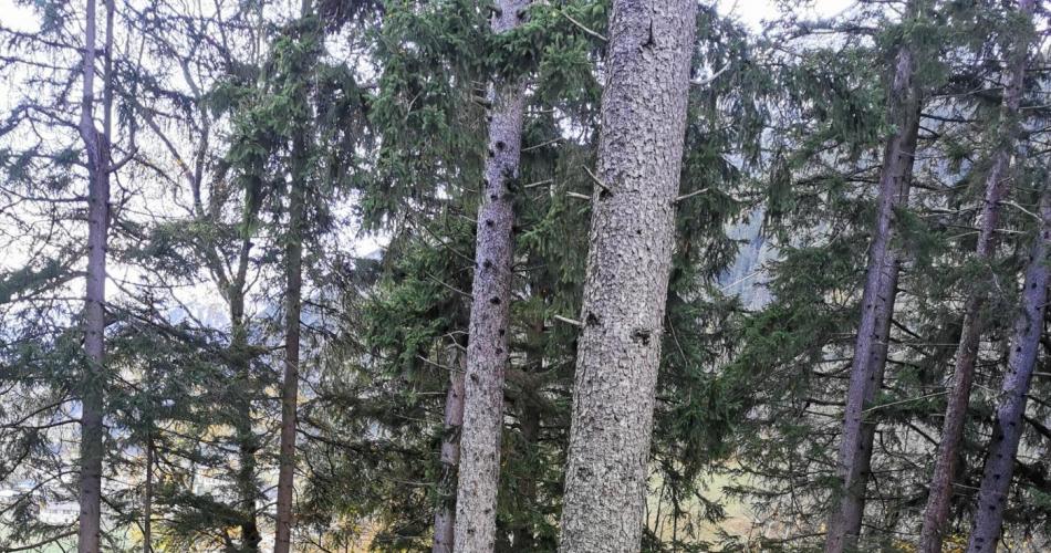 Schatzsuche